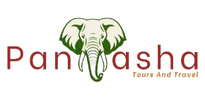 PANASHA TOURS AND TRAVELS